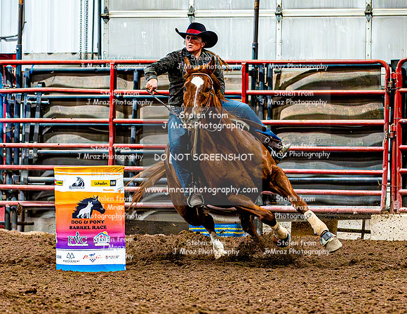 DogAndPony-Saturday-2026-JMrazPhotography-2636