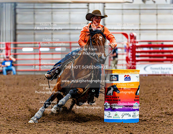 DogAndPony-Saturday-2026-JMrazPhotography-2789