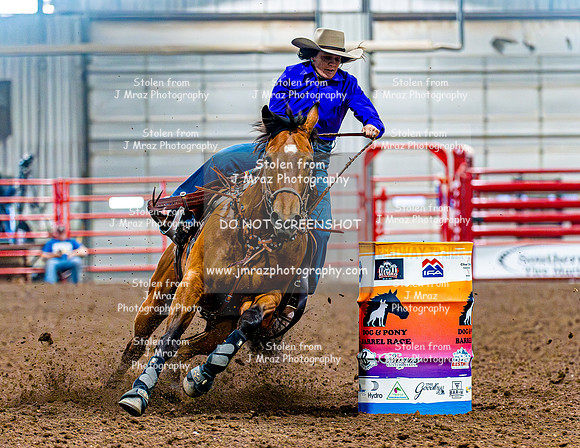 DogAndPony-Saturday-2026-JMrazPhotography-2809