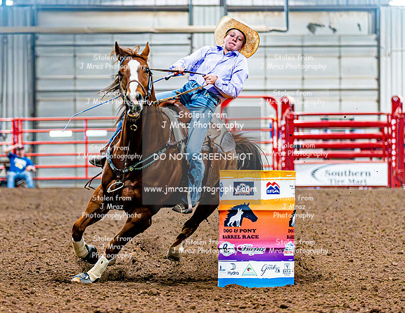 DogAndPony-Saturday-2026-JMrazPhotography-2831