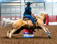 DogAndPony-Saturday-2026-JMrazPhotography-2913