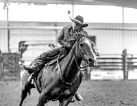 DogAndPony-Saturday-2026-JMrazPhotography-2985