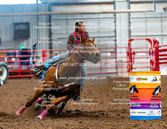 DogAndPony-Saturday-2026-JMrazPhotography-2990