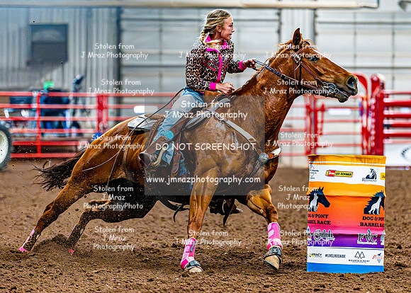 DogAndPony-Saturday-2026-JMrazPhotography-2992