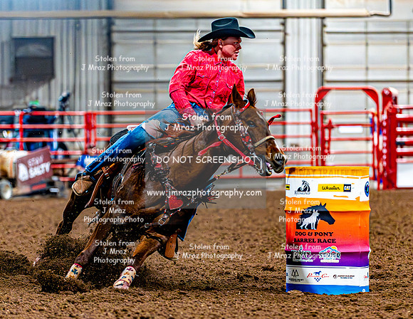 DogAndPony-Saturday-2026-JMrazPhotography-3038
