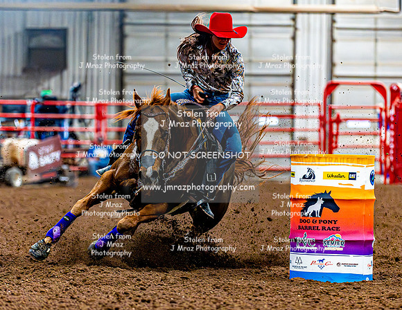DogAndPony-Saturday-2026-JMrazPhotography-3045