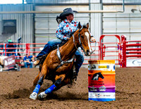 DogAndPony-Saturday-2026-JMrazPhotography-3051