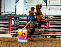 DogAndPony-Saturday-2026-JMrazPhotography-3077