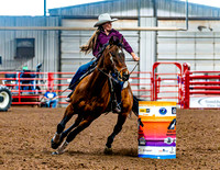 DogAndPony-Saturday-2026-JMrazPhotography-3165