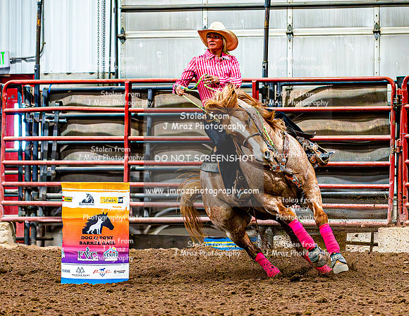 DogAndPony-Saturday-2026-JMrazPhotography-3290