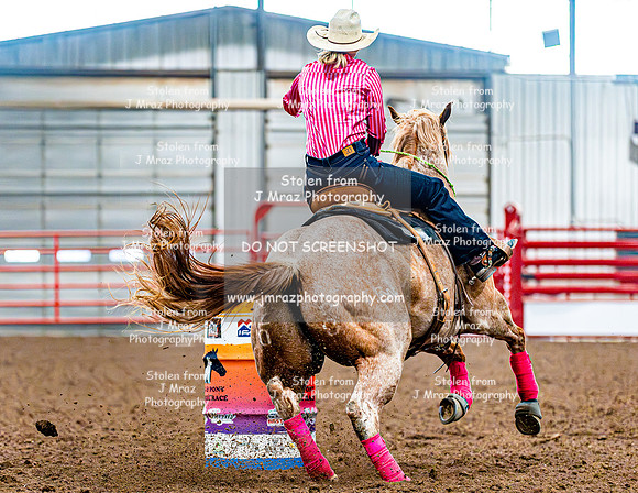 DogAndPony-Saturday-2026-JMrazPhotography-3294