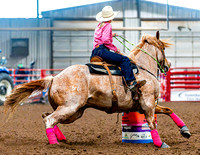 DogAndPony-Saturday-2026-JMrazPhotography-3293