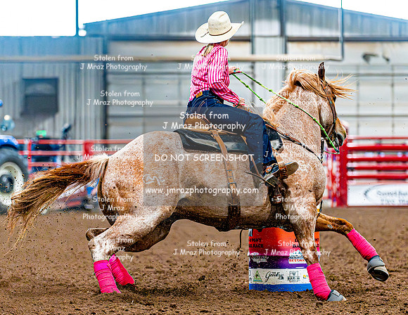DogAndPony-Saturday-2026-JMrazPhotography-3293