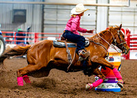 DogAndPony-Saturday-2026-JMrazPhotography-3393