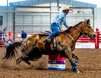 DogAndPony-Saturday-2026-JMrazPhotography-3465