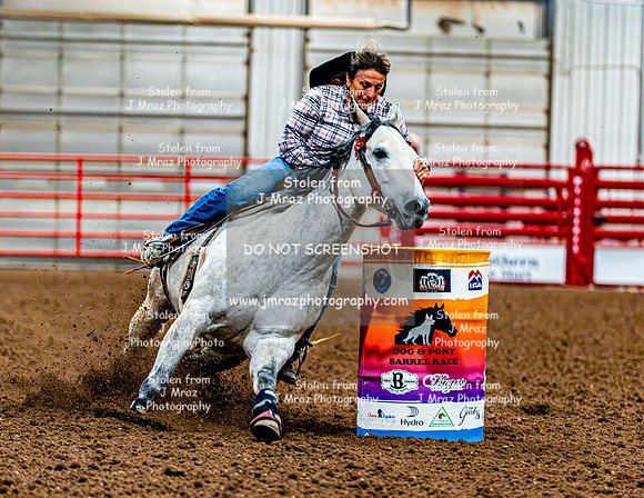 DogAndPony-Sunday-2026-JMrazPhotography-0002