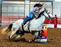DogAndPony-Sunday-2026-JMrazPhotography-0004
