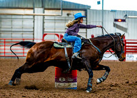 DogAndPony-Sunday-2026-JMrazPhotography-0026