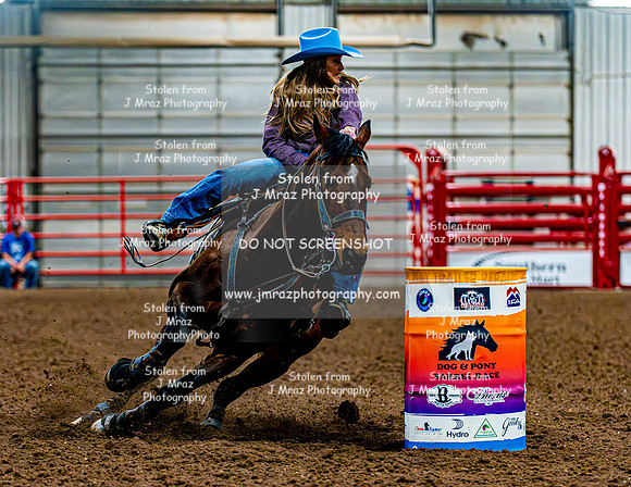 DogAndPony-Sunday-2026-JMrazPhotography-0023