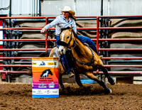 DogAndPony-Sunday-2026-JMrazPhotography-0032