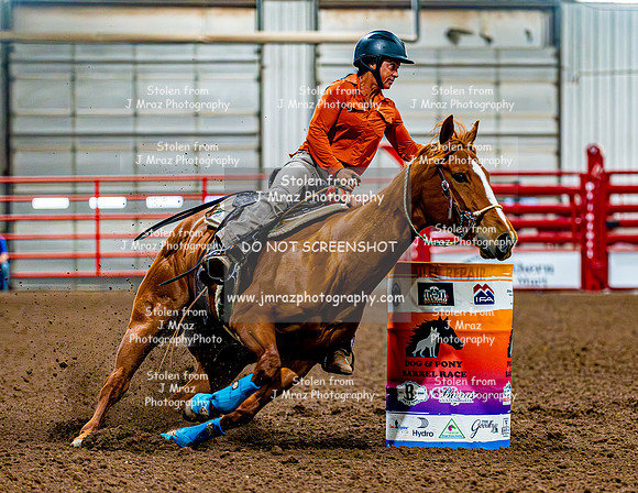 DogAndPony-Sunday-2026-JMrazPhotography-0051
