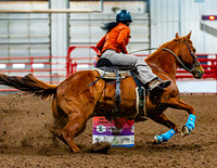 DogAndPony-Sunday-2026-JMrazPhotography-0052