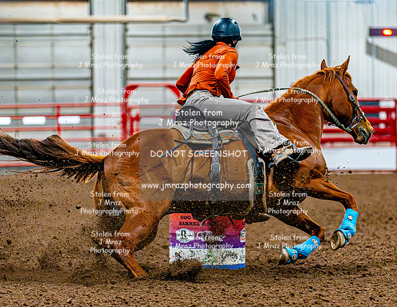 DogAndPony-Sunday-2026-JMrazPhotography-0052