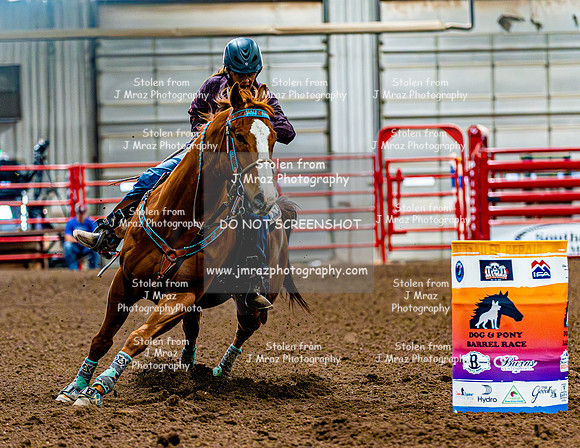 DogAndPony-Sunday-2026-JMrazPhotography-0060