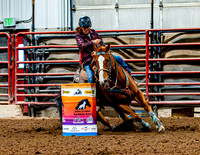 DogAndPony-Sunday-2026-JMrazPhotography-0061
