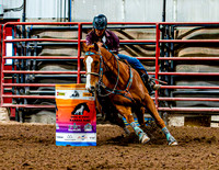 DogAndPony-Sunday-2026-JMrazPhotography-0062