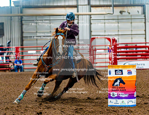 DogAndPony-Sunday-2026-JMrazPhotography-0059