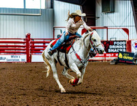 DogAndPony-Sunday-2026-JMrazPhotography-0079