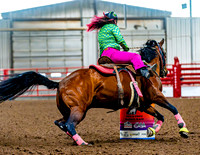 DogAndPony-Sunday-2026-JMrazPhotography-0161