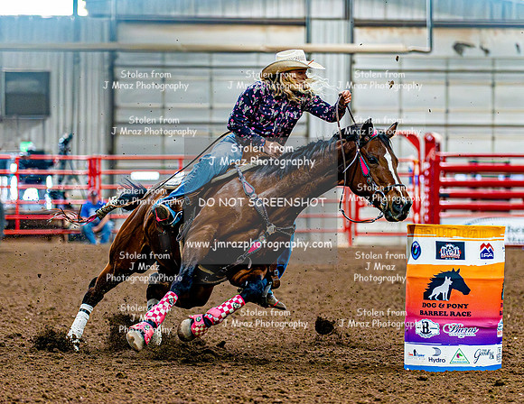DogAndPony-Sunday-2026-JMrazPhotography-0225