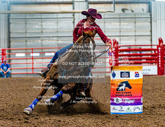 DogAndPony-Sunday-2026-JMrazPhotography-0257