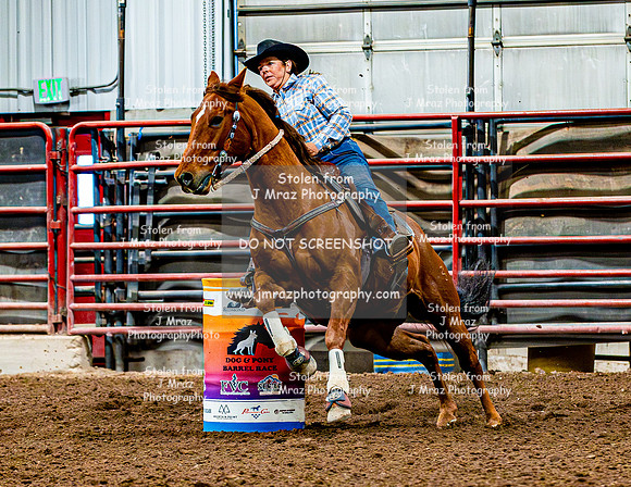 DogAndPony-Sunday-2026-JMrazPhotography-0265
