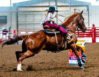 DogAndPony-Sunday-2026-JMrazPhotography-0291