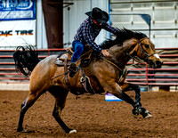 DogAndPony-Sunday-2026-JMrazPhotography-0357
