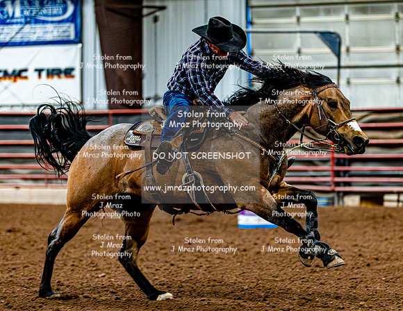 DogAndPony-Sunday-2026-JMrazPhotography-0357