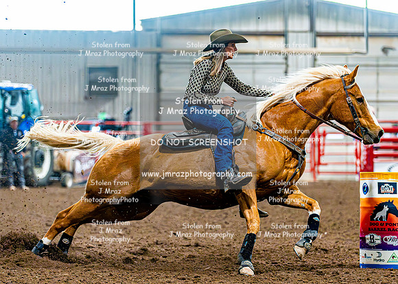 DogAndPony-Sunday-2026-JMrazPhotography-0391