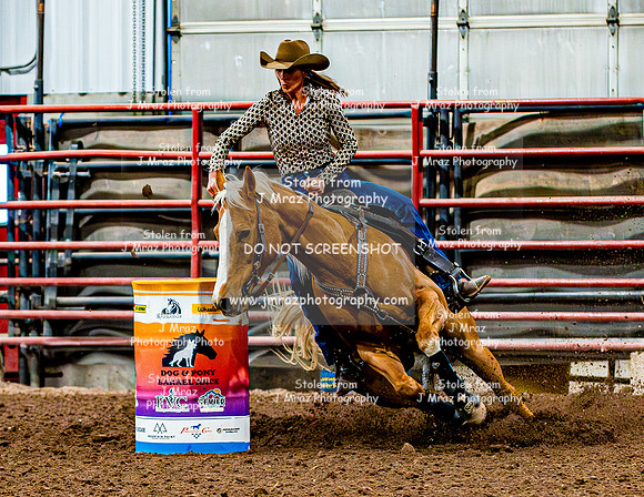 DogAndPony-Sunday-2026-JMrazPhotography-0402