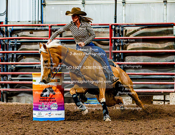 DogAndPony-Sunday-2026-JMrazPhotography-0403