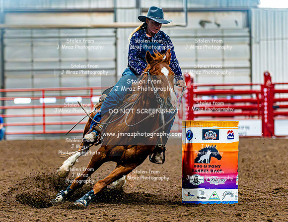 DogAndPony-Sunday-2026-JMrazPhotography-0431