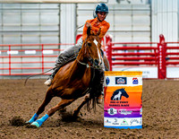 DogAndPony-Sunday-2026-JMrazPhotography-0529