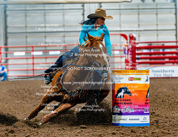 DogAndPony-Sunday-2026-JMrazPhotography-0610