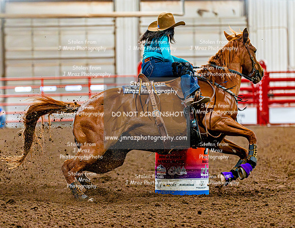 DogAndPony-Sunday-2026-JMrazPhotography-0616