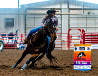DogAndPony-Sunday-2026-JMrazPhotography-0850