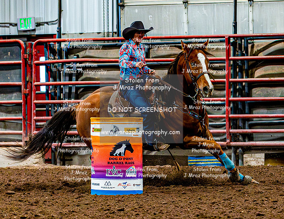 DogAndPony-Sunday-2026-JMrazPhotography-0856