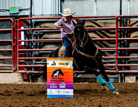DogAndPony-Sunday-2026-JMrazPhotography-0936