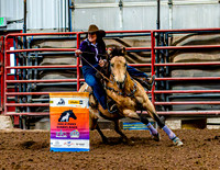 DogAndPony-Sunday-2026-JMrazPhotography-0979